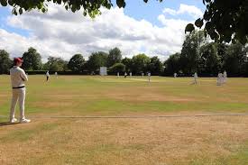 Image result for Tendring Cricket Club