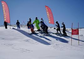 Image result for Cairngorm Ski Club