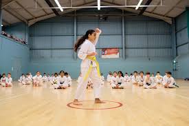 Image result for Uwe Karate Club