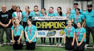 Image result for Dragons Softball Club