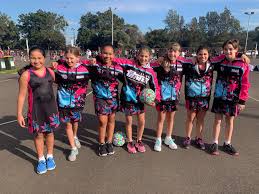 Image result for Titans Netball Club