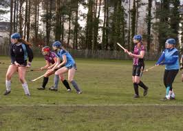 Image result for Cornwall Shinty Club