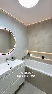 Image result for WC rekonstrukce foto