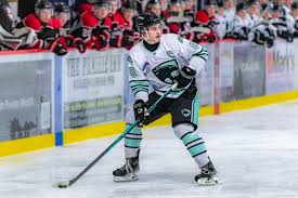 Image result for Pentland Panthers