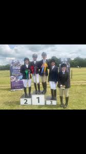 Image result for Chiddingfold Branch Of The Pony Club