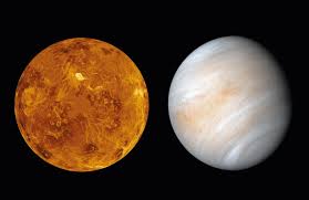 Image result for venus