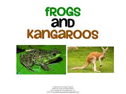 Image result for Reading Kangaroos
