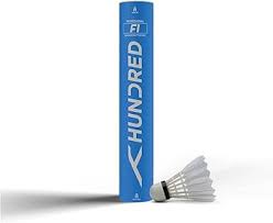 Image result for Flukey Feathers Badminton Club