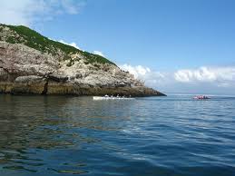 Image result for Torquay Rowing Club