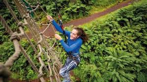 Image result for Go Ape! Dalby