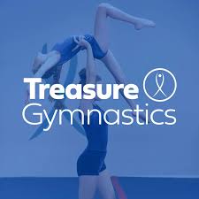 Image result for Treasure Gymnastics