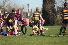 Image result for Yatton R F C