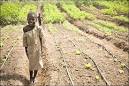 Solar Electric Light Fund: Projects: Benin