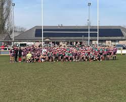 Image result for Pontypool United R F C