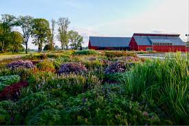 Image result for Piet Oudolf