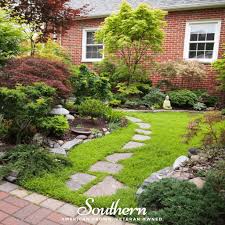 Attēlu rezultāti vaicājumam “Herniaria glabra flower”