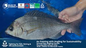 Image result for Weymouth Angling Society