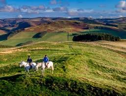 Image result for Peebles & District Riding Club