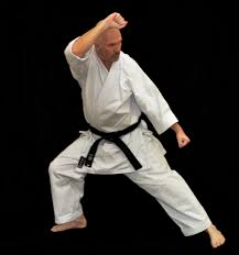 Image result for Inyo Karate Do Ninbukan