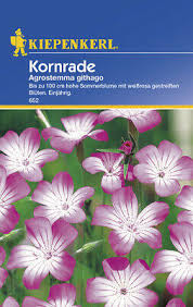 Image result for Kornrade