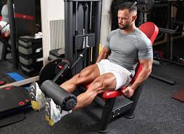 Image result for Rainbow Gym Club