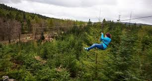 Image result for Go Ape! Grizedale