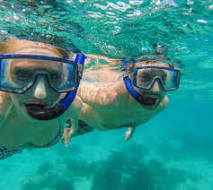 Image result for Stalybridge Snorkel Club