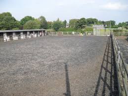 Image result for Follifoot Cc