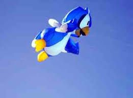 Image result for Midlands Kite Fliers