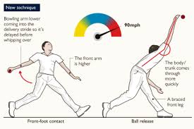 Image result for Seamer Bowling Club