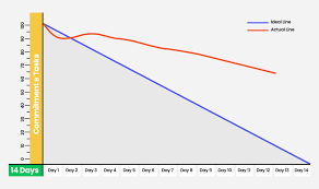Image result for burnup chart