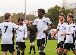 Image result for Fulham Football Club