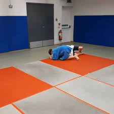 Image result for Anfield Youth Activity Centre Judo Club