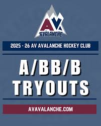 Image result for Ash Avalanche Skater Hockey Club