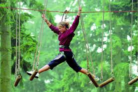 Image result for Go Ape! Leeds Castle