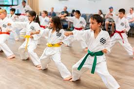 Image result for COURT FIELDS karate Academy
