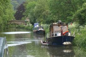 Image result for Bathampton Angling Association