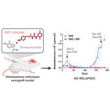 IRE 0.0 IRE 7.5에 대한 이미지 검색결과