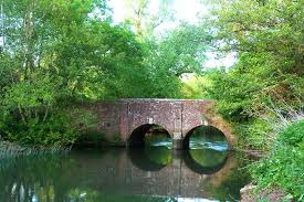 Image result for Loddon Vale Bridge Club