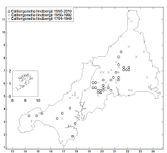 Attēlu rezultāti vaicājumam “Calliergonella lindbergii”