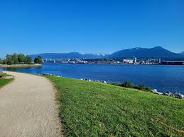 Image result for New Brighton Cc