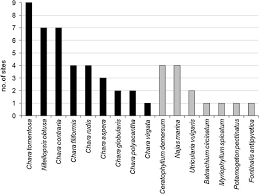 Attēlu rezultāti vaicājumam “Chara filiformis”