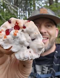 Attēlu rezultāti vaicājumam “Cordyceps polyarthra”