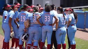 Image result for Lions Softball Club