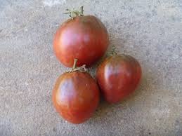 Afbeeldingsresultaat voor black oxheart tomato