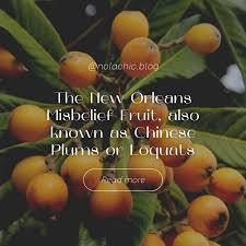 Attēlu rezultāti vaicājumam “Linaria loeselii fruit”