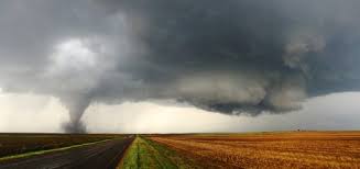 Image result for Halstead Cyclones