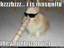 http://1.bp.blogspot.com/-6VFg1DCVGk8/TxgDultvHDI/AAAAAAADdaY/ix7zAgBn644/s1600/DOG%2Bpictures%2Bfunny%2B%252528582%252529.jpg