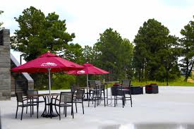 Image result for Falcon Sa Club