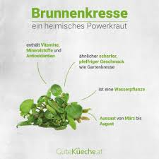 Image result for Brunnenkresse